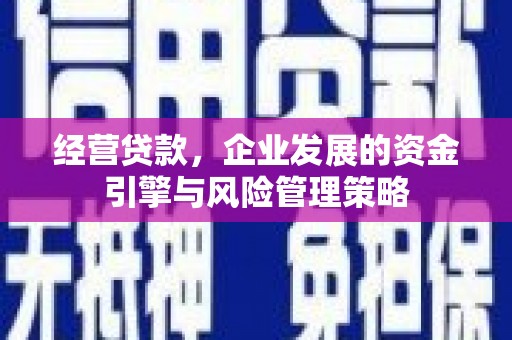 长宁经营贷款，企业发展的资金引擎与风险管理策略