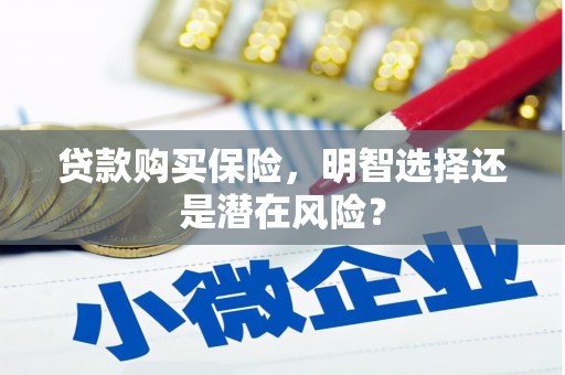 长宁贷款购买保险，明智选择还是潜在风险？