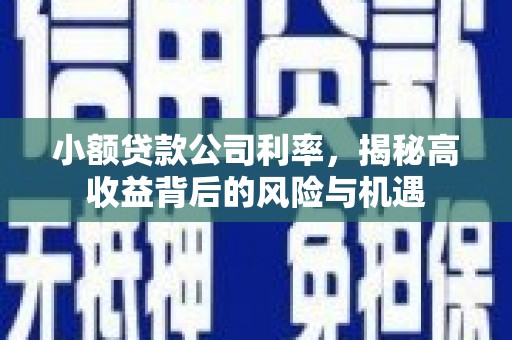 长宁小额贷款公司利率，揭秘高收益背后的风险与机遇