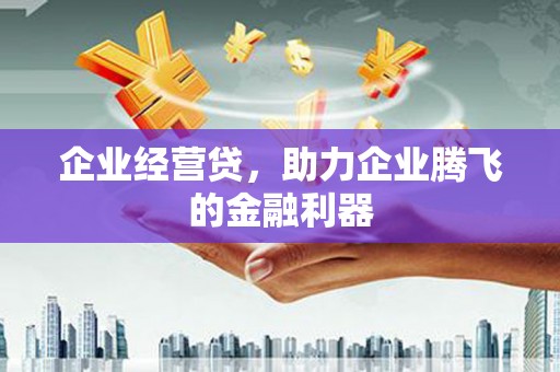 长宁企业经营贷，助力企业腾飞的金融利器