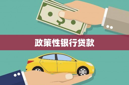 长宁政策性银行贷款