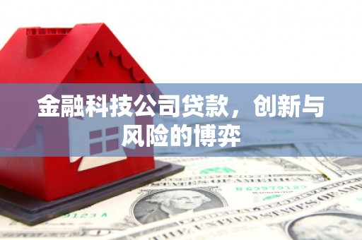 长宁金融科技公司贷款，创新与风险的博弈