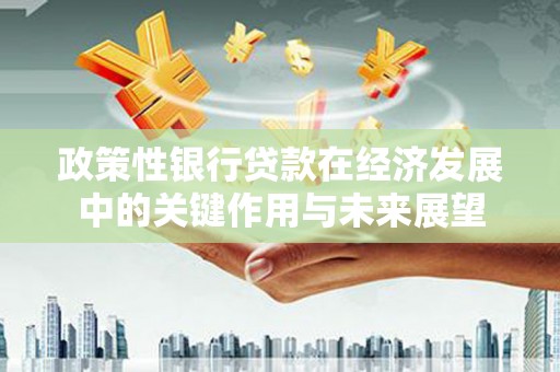 长宁政策性银行贷款在经济发展中的关键作用与未来展望