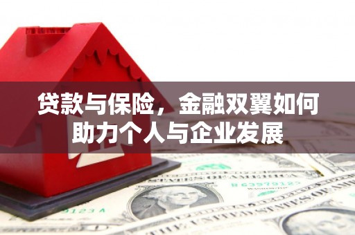 长宁贷款与保险，金融双翼如何助力个人与企业发展
