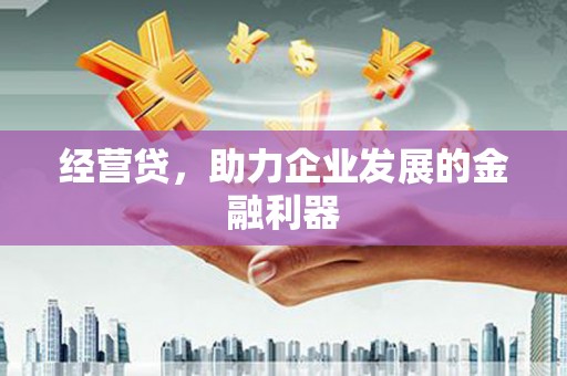 长宁经营贷，助力企业发展的金融利器