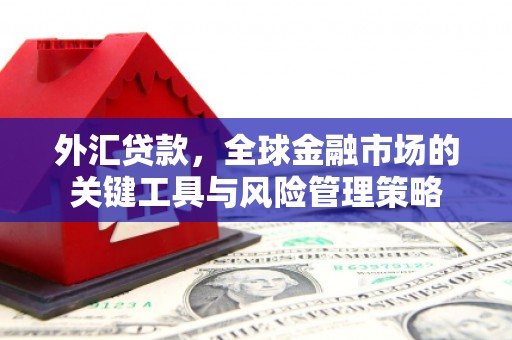 长宁外汇贷款，全球金融市场的关键工具与风险管理策略
