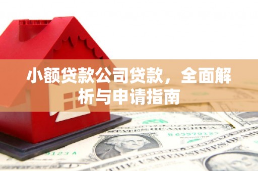 长宁小额贷款公司贷款，全面解析与申请指南