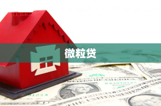 长宁微粒贷