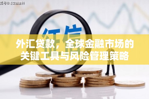 长宁外汇贷款，全球金融市场的关键工具与风险管理策略