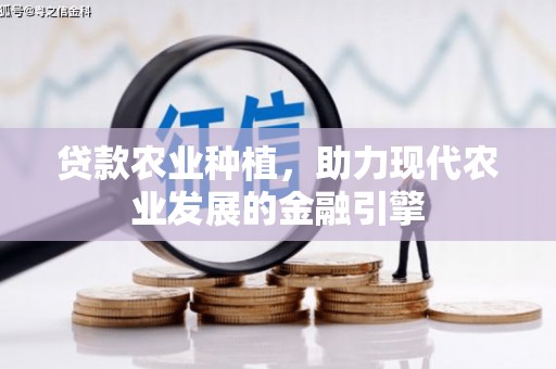 长宁贷款农业种植，助力现代农业发展的金融引擎