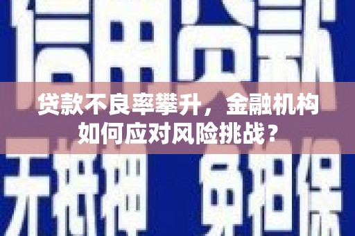 长宁贷款不良率攀升，金融机构如何应对风险挑战？