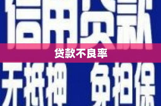 长宁贷款不良率