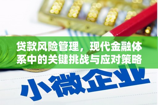 长宁贷款风险管理，现代金融体系中的关键挑战与应对策略