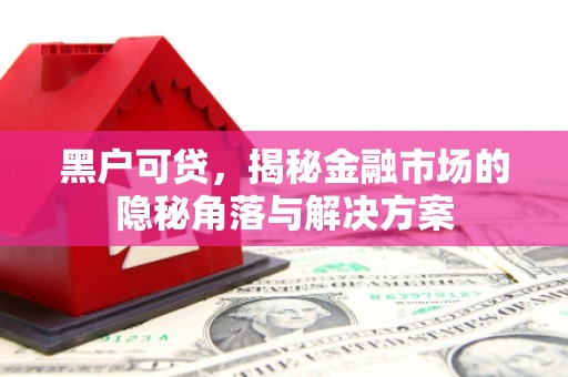 长宁黑户可贷，揭秘金融市场的隐秘角落与解决方案