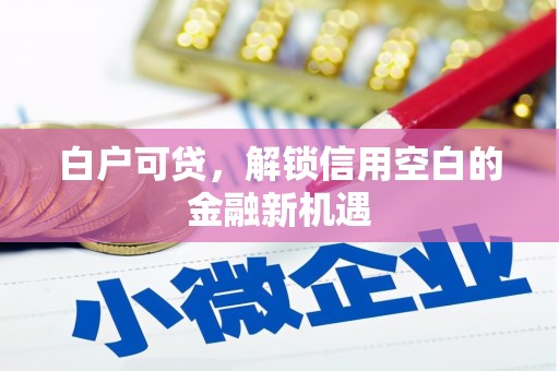 长宁白户可贷，解锁信用空白的金融新机遇