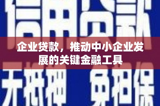 长宁企业贷款，推动中小企业发展的关键金融工具