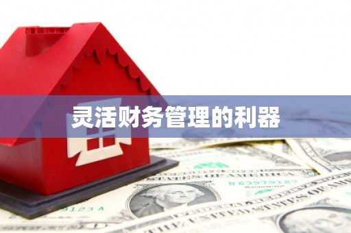 长宁灵活财务管理的利器