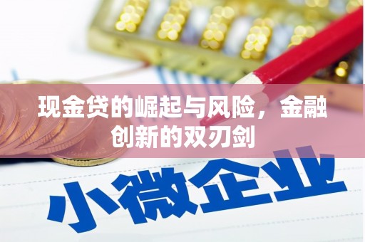 长宁现金贷的崛起与风险，金融创新的双刃剑