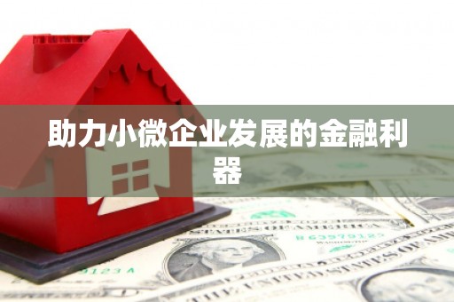 长宁助力小微企业发展的金融利器
