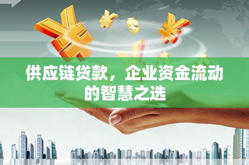长宁供应链贷款，企业资金流动的智慧之选
