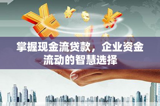 长宁掌握现金流贷款，企业资金流动的智慧选择