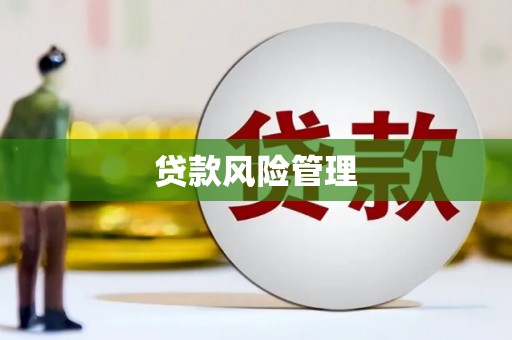 长宁贷款风险管理