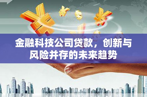 长宁金融科技公司贷款，创新与风险并存的未来趋势