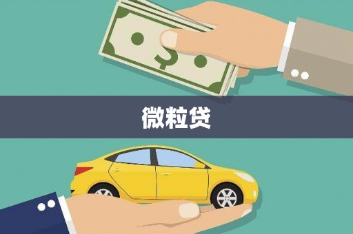 长宁微粒贷