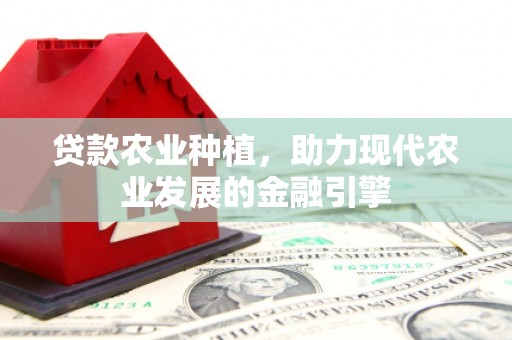 长宁贷款农业种植，助力现代农业发展的金融引擎