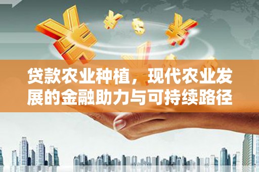 长宁贷款农业种植，现代农业发展的金融助力与可持续路径