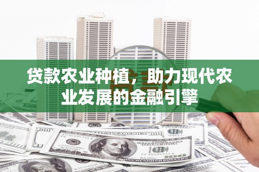 长宁贷款农业种植，助力现代农业发展的金融引擎