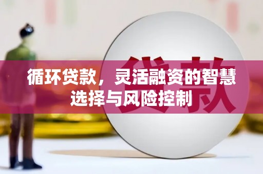 长宁循环贷款，灵活融资的智慧选择与风险控制