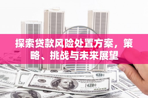 长宁探索贷款风险处置方案，策略、挑战与未来展望