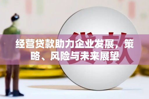 长宁经营贷款助力企业发展，策略、风险与未来展望