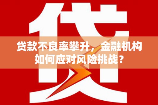 长宁贷款不良率攀升，金融机构如何应对风险挑战？
