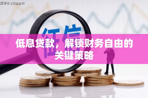 长宁低息贷款，解锁财务自由的关键策略