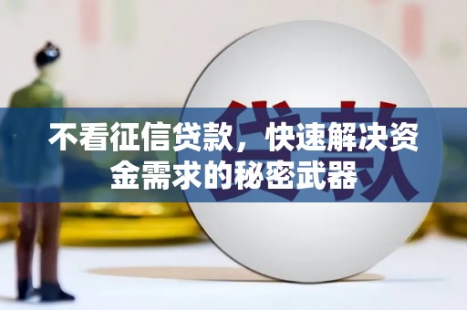 长宁不看征信贷款，快速解决资金需求的秘密武器