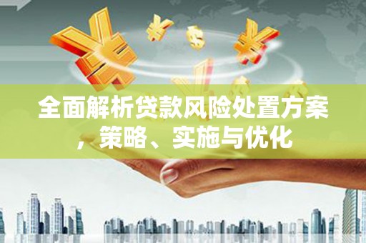 长宁全面解析贷款风险处置方案，策略、实施与优化