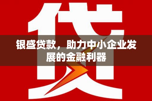 长宁银盛贷款，助力中小企业发展的金融利器