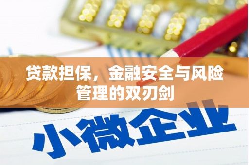 长宁贷款担保，金融安全与风险管理的双刃剑