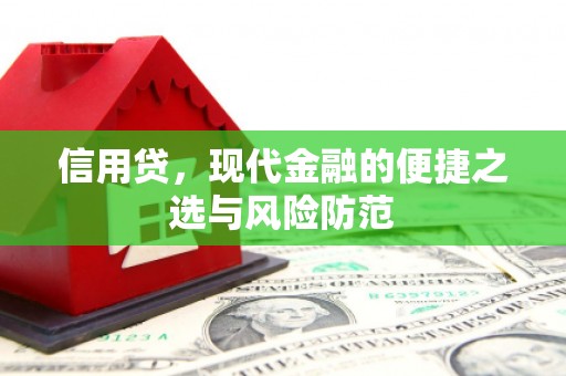 长宁信用贷，现代金融的便捷之选与风险防范
