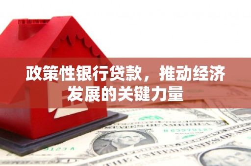 长宁政策性银行贷款，推动经济发展的关键力量
