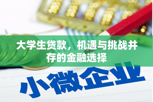 长宁大学生贷款，机遇与挑战并存的金融选择