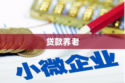 长宁贷款养老