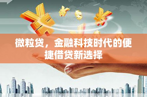 长宁微粒贷，金融科技时代的便捷借贷新选择