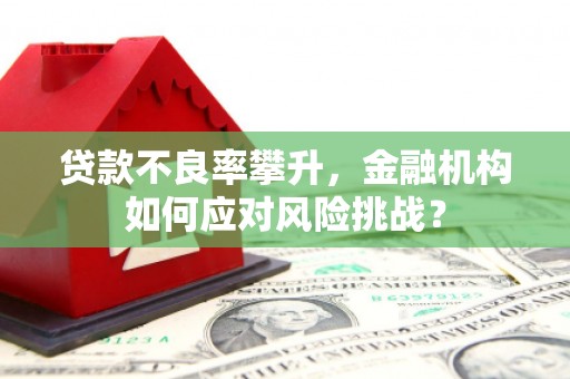 长宁贷款不良率攀升，金融机构如何应对风险挑战？
