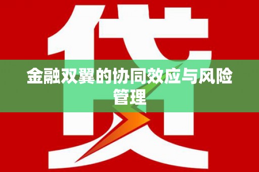 长宁金融双翼的协同效应与风险管理